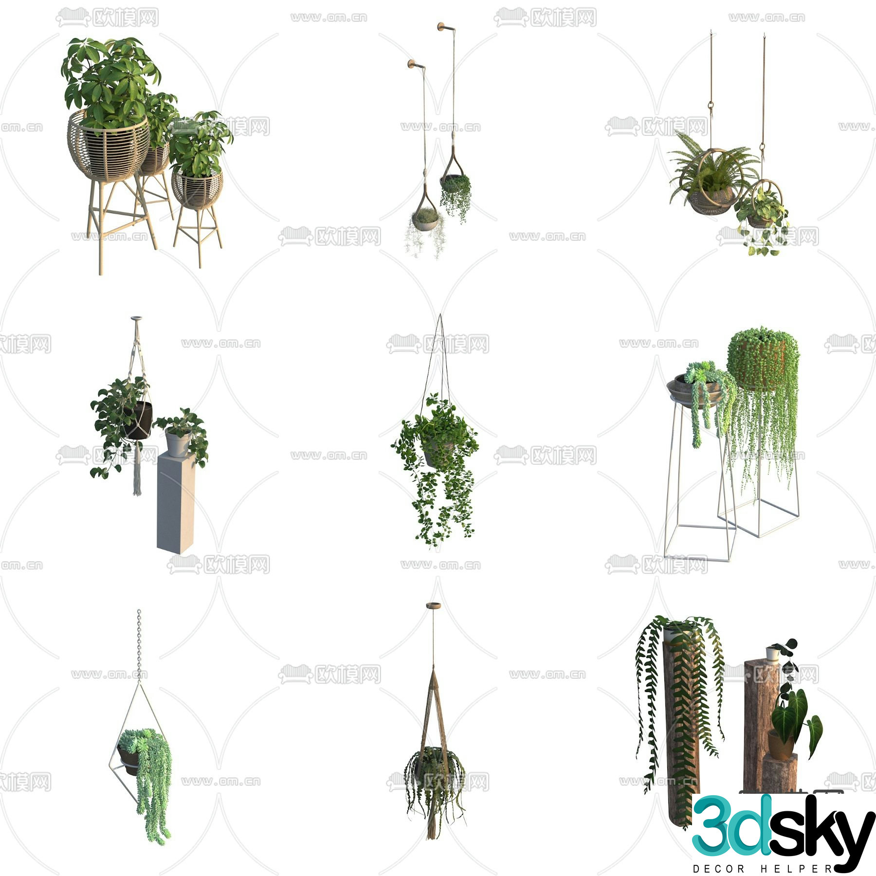 Potted plants green plants hanging basket 3D model