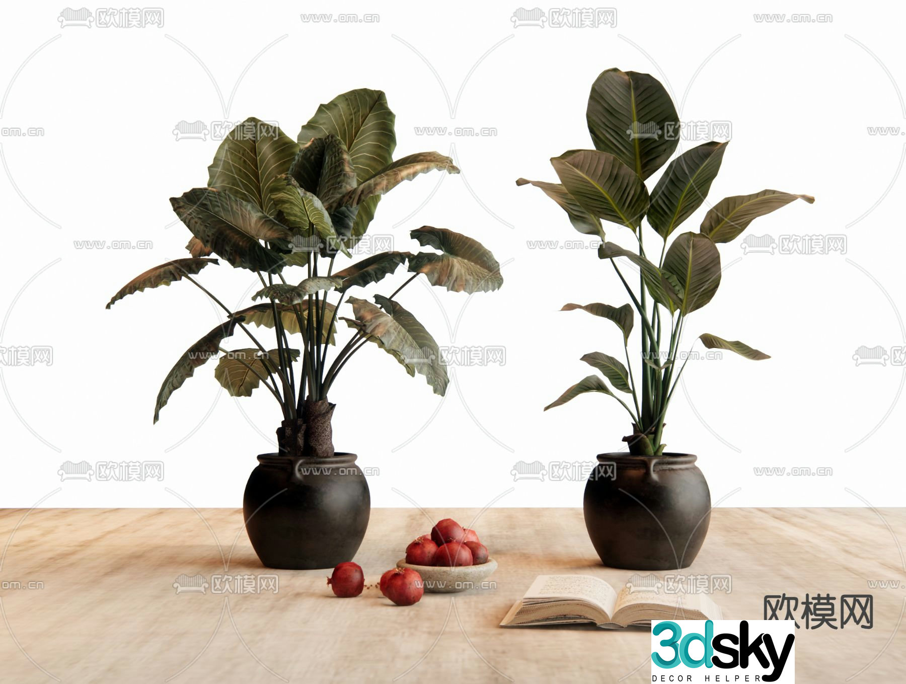 potted bonsai green plant 3d model