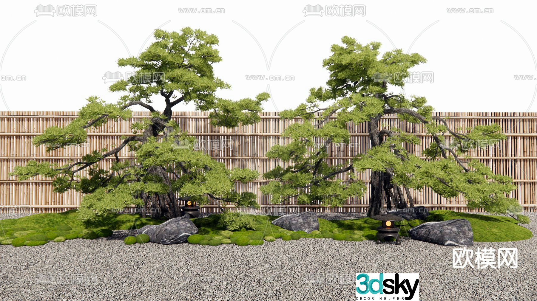 New Chinese style pine tree Podocarpus 3D model