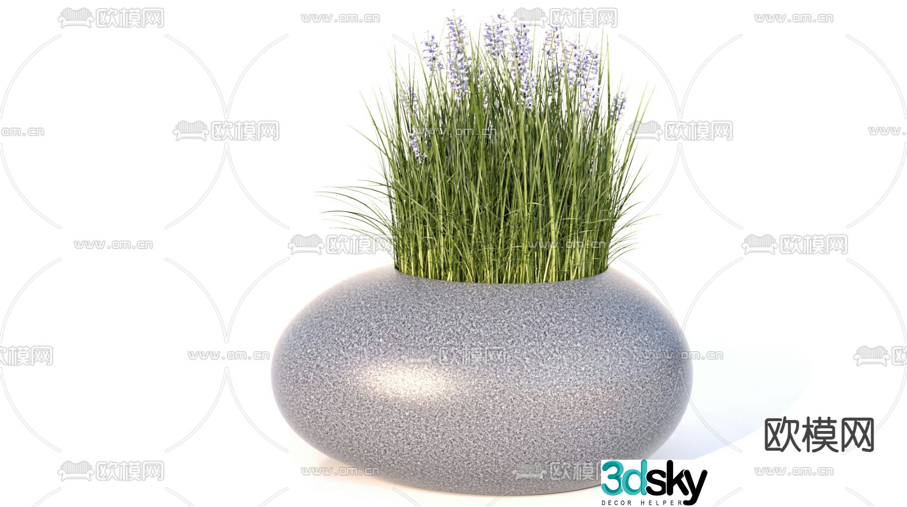 Plant potted plant Lavender 3D model