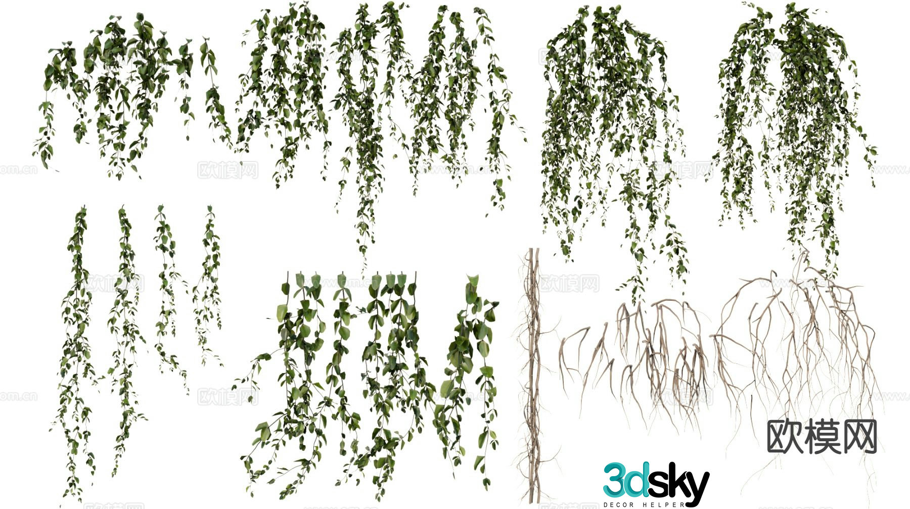 Vines climbing gardening green plants 3d model