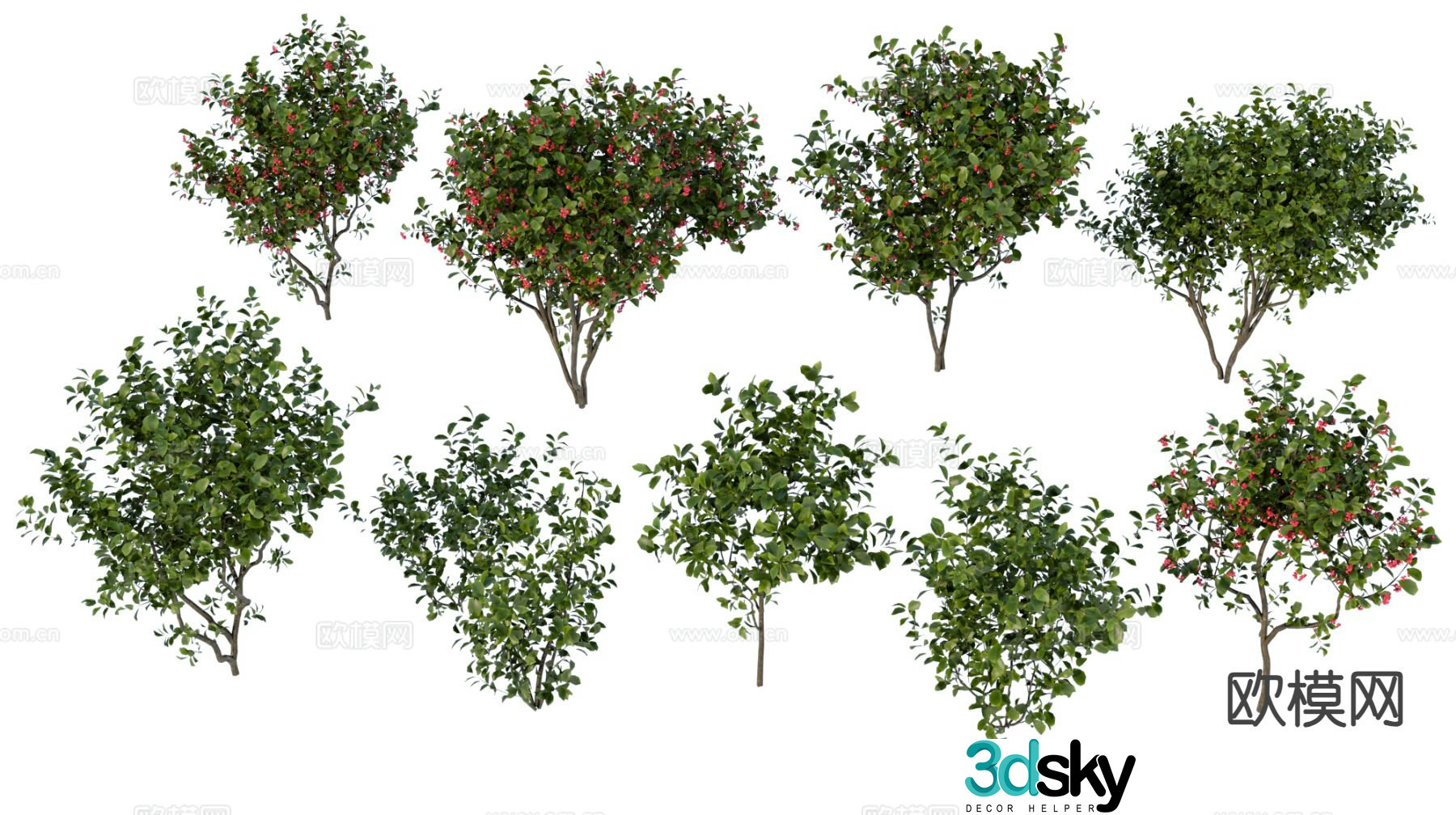 Trees Landscape Trees Garden Plant 3D Model