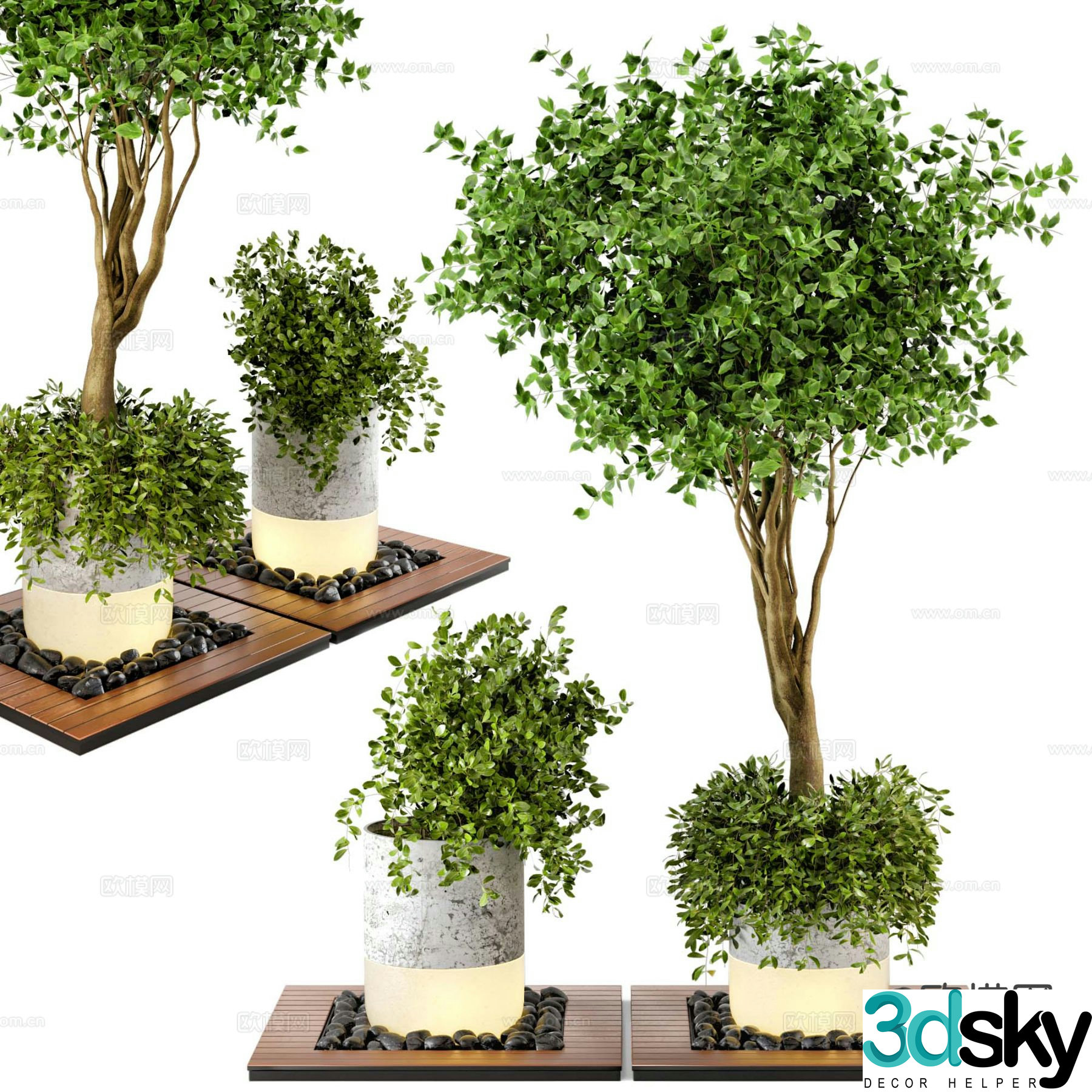 Outdoor potted green plant potted 3D model