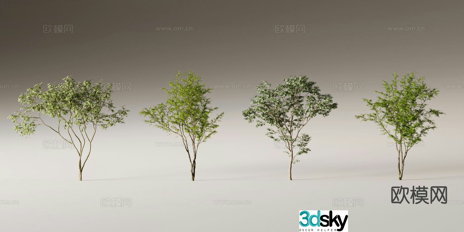 Big tree Landscape tree Street tree 3d model