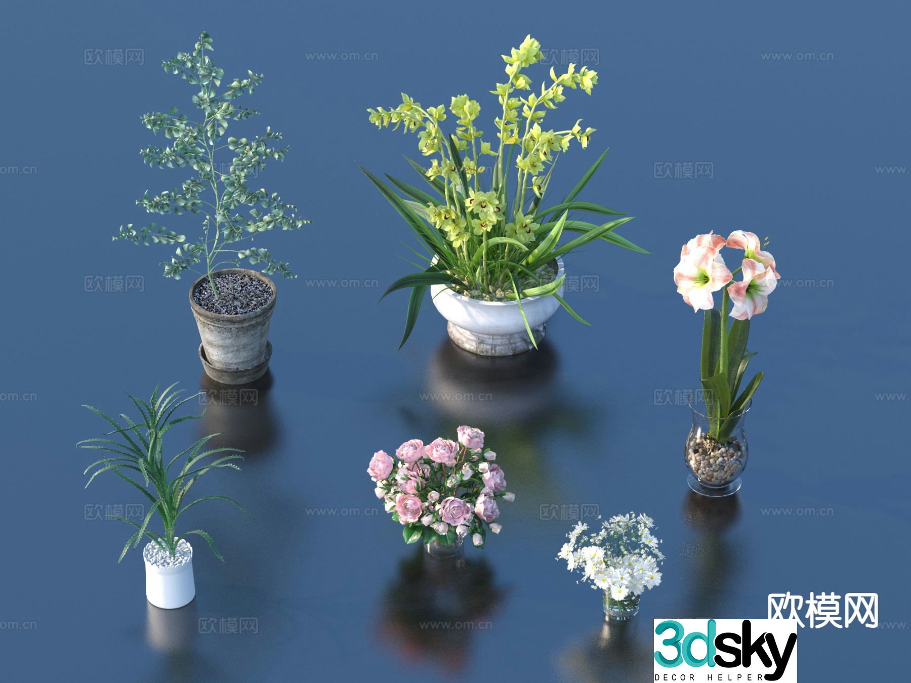 Plant bonsai Flower bonsai 3d model