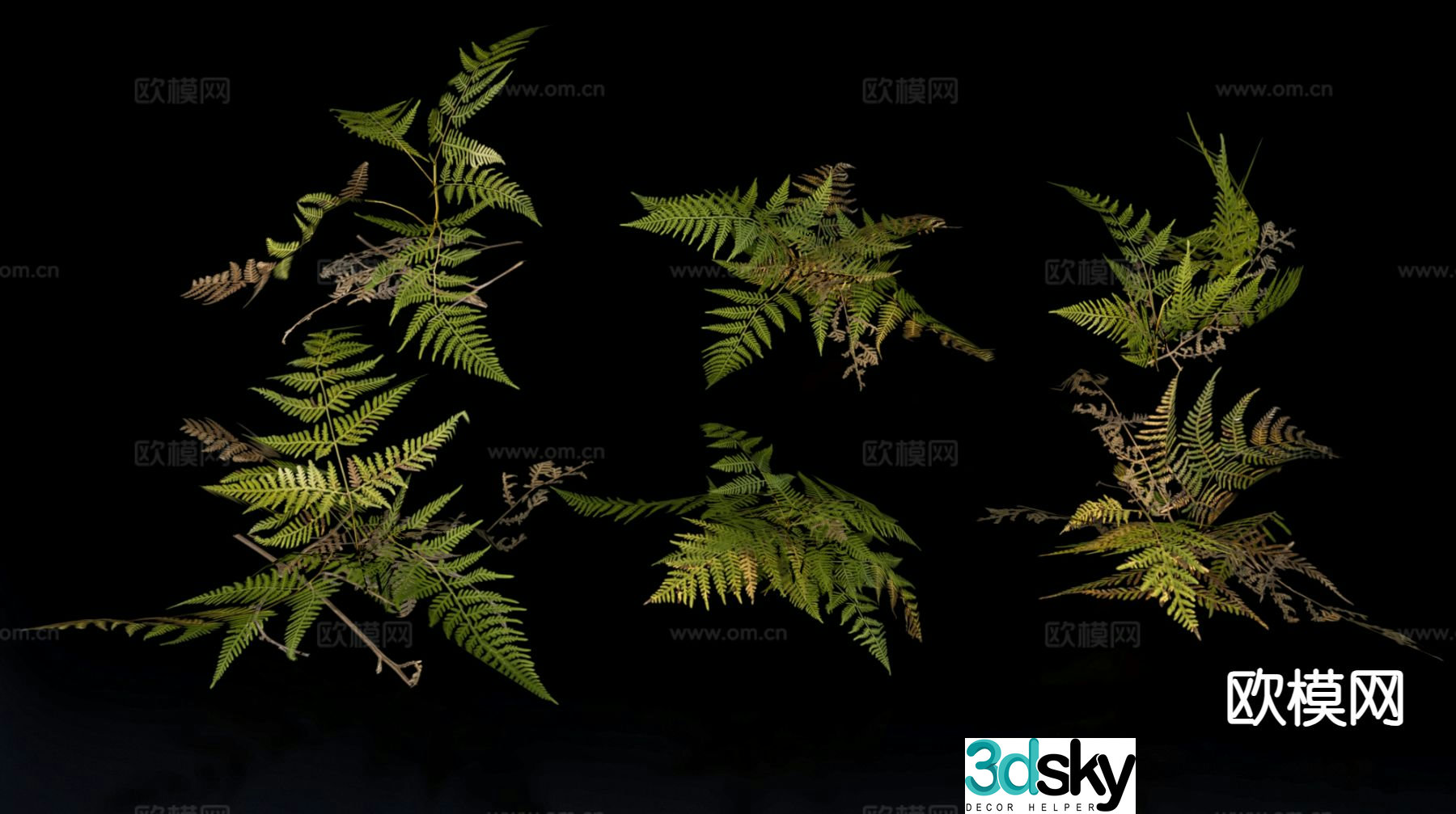 Wild grass plants fern 3d model
