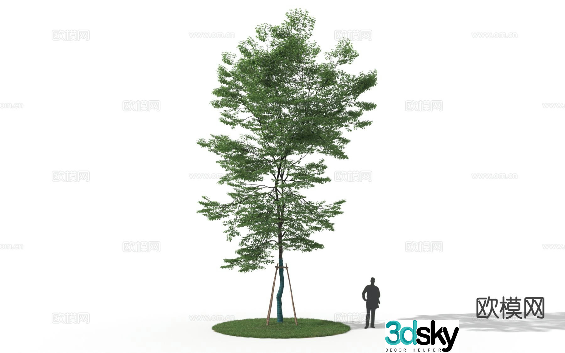 Landscape tree Tree Windproof Cotton Tree Street Tree 3D Model