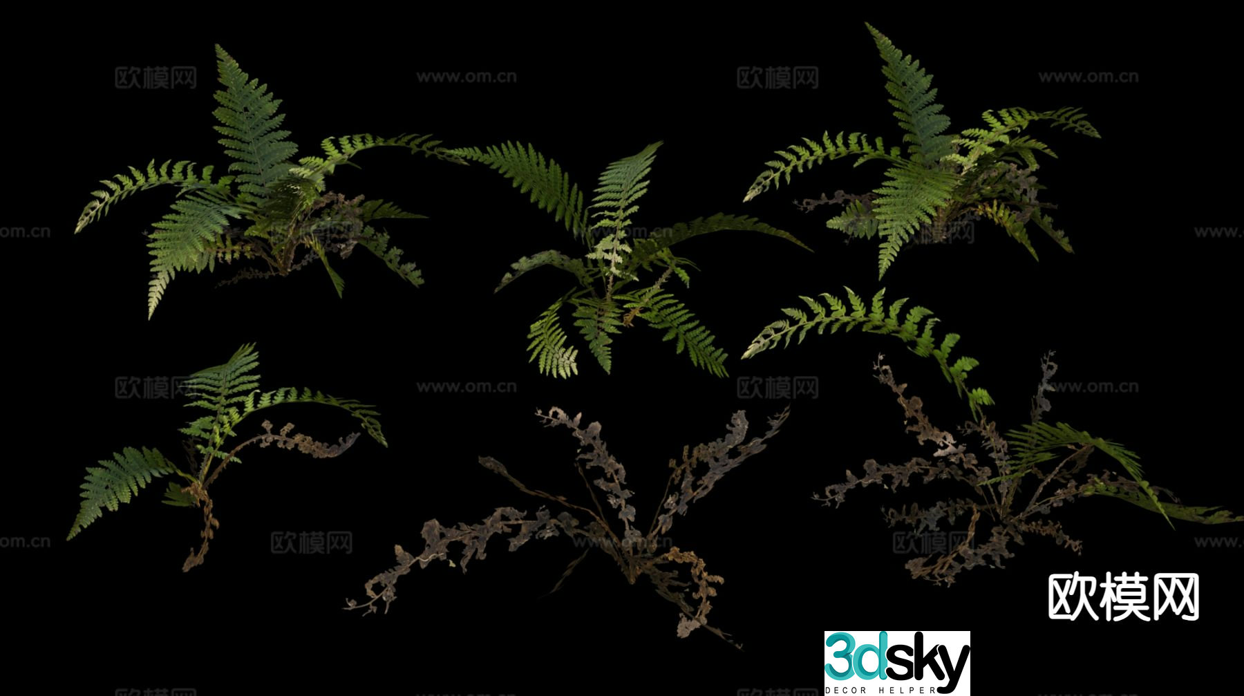 Wild grass plants fern 3d model