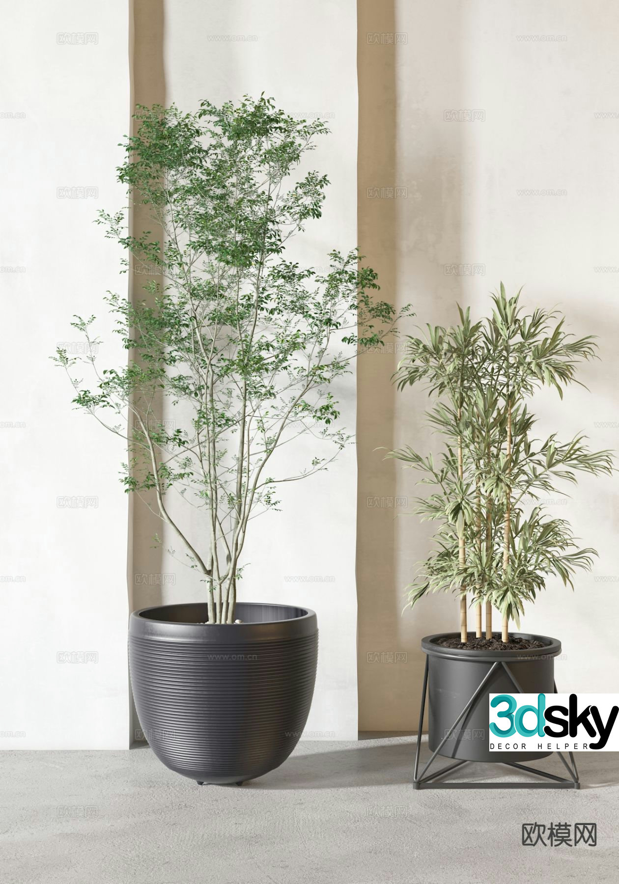 potted bonsai green plant 3d model