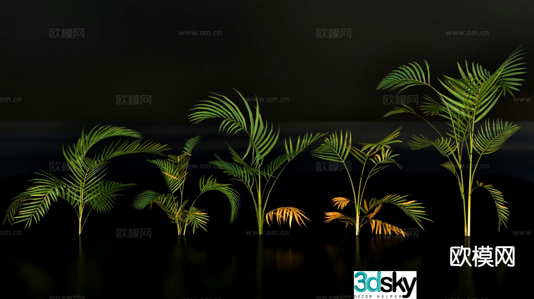 Modern potted plants Green potted plants 3D model
