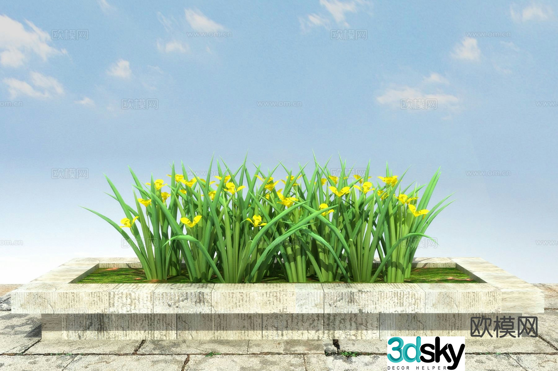 Flowers and plants Yellow flower iris 3d model