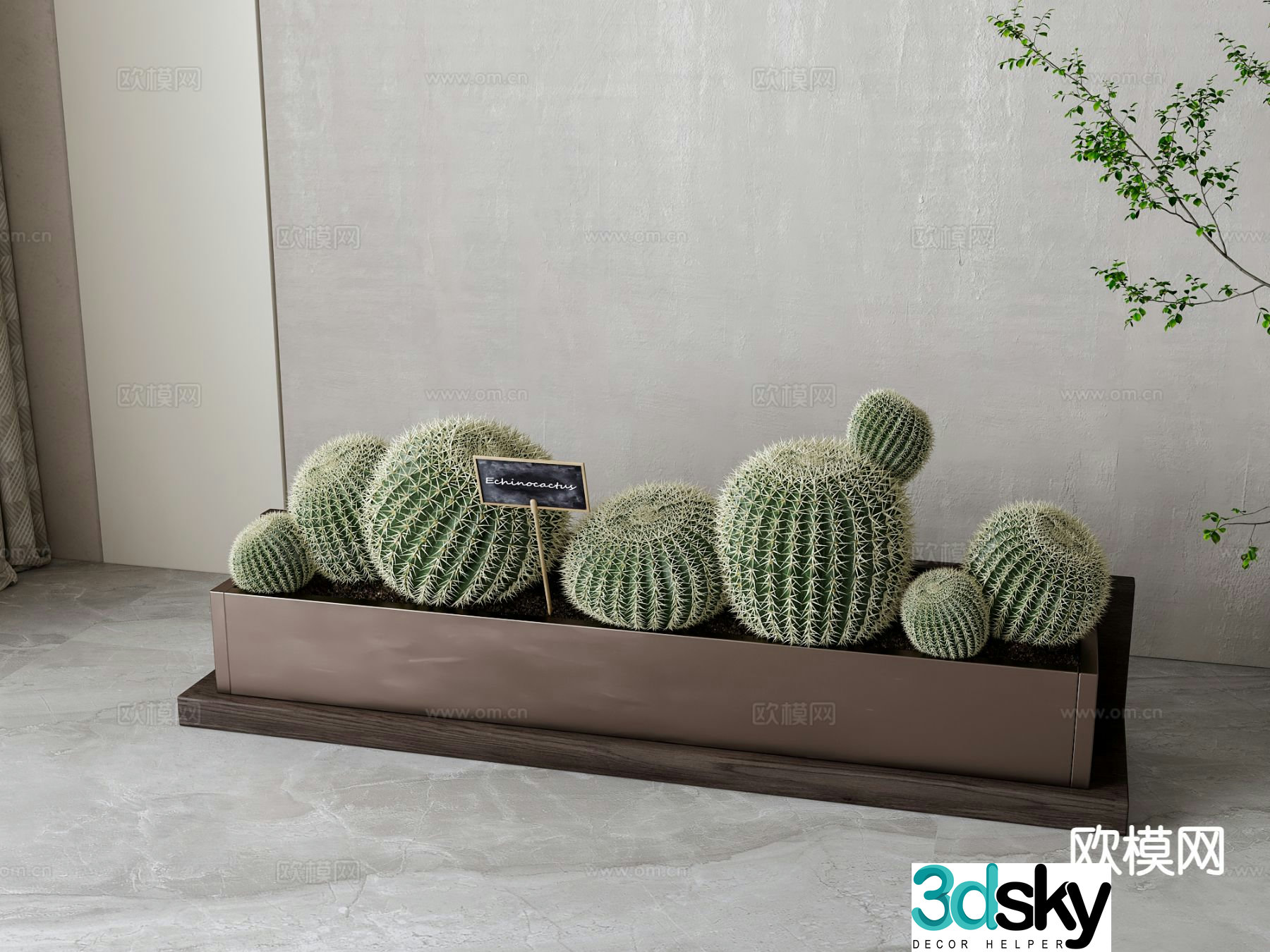 Modern cactus potted 3d model
