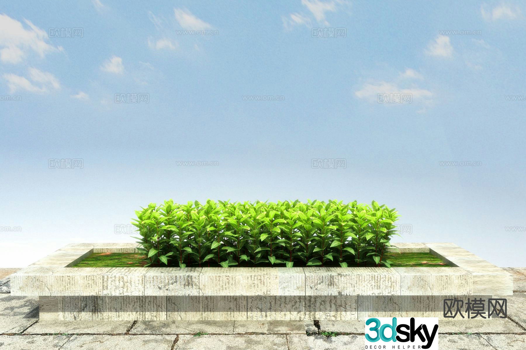Shrub Golden Vein Jue Bed 3D Model