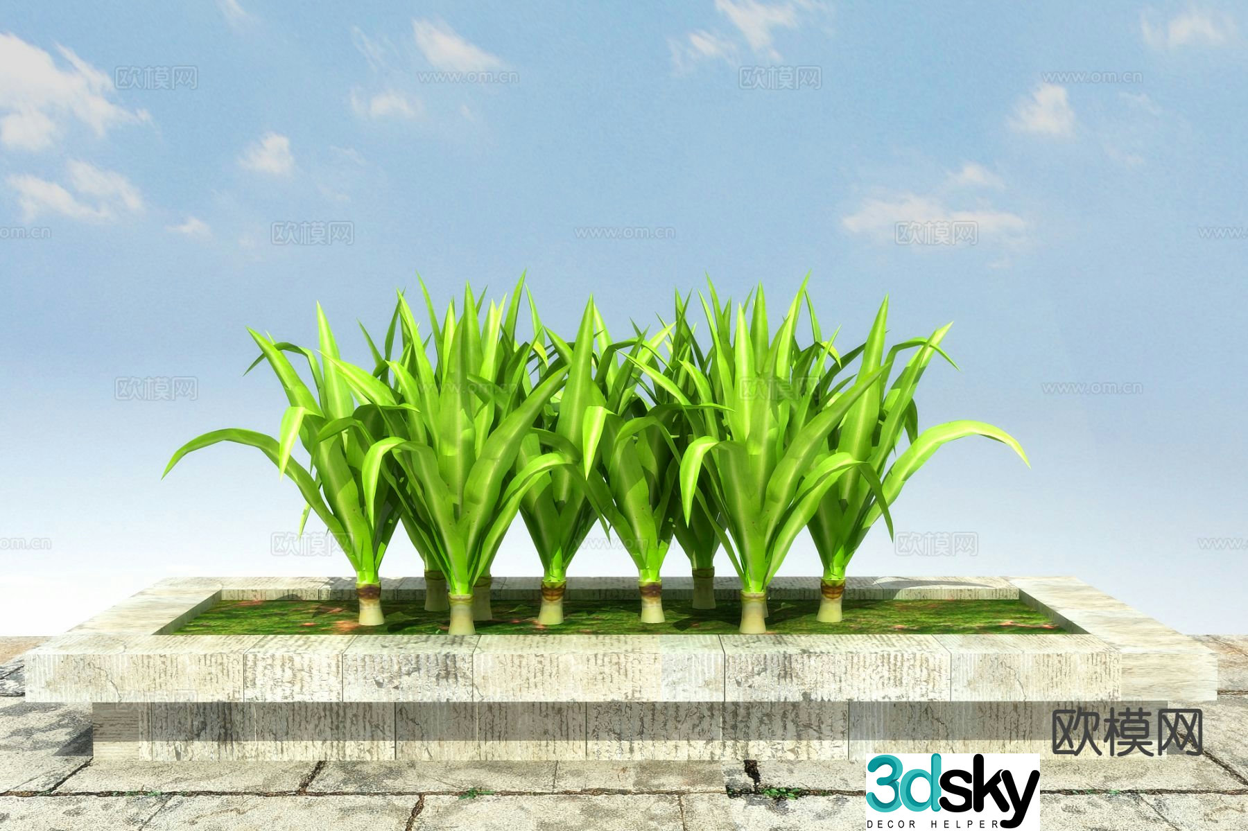 Flowers and plants Manjushri orchid 3D model