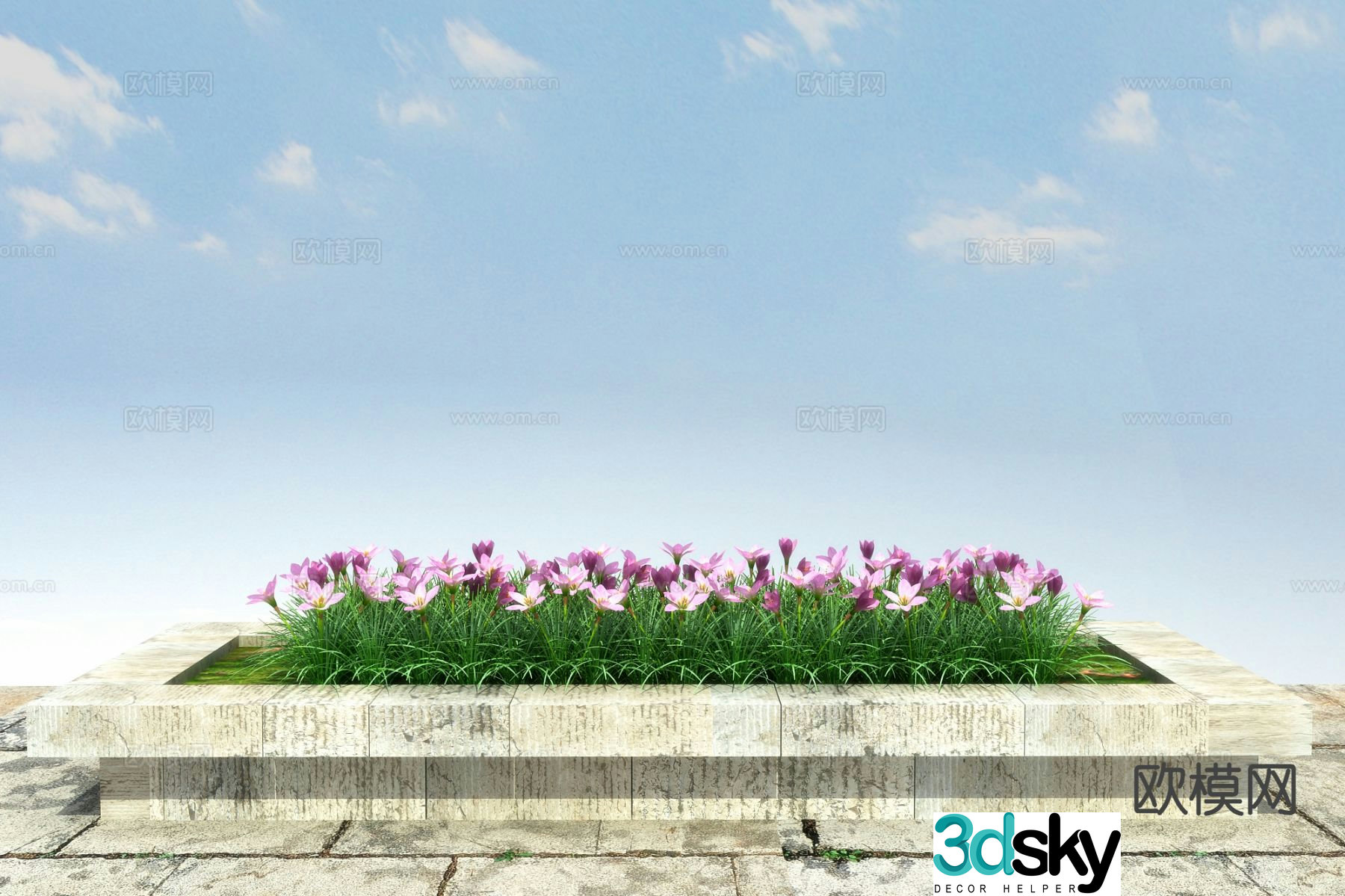 Flowers and plants onion 3D model