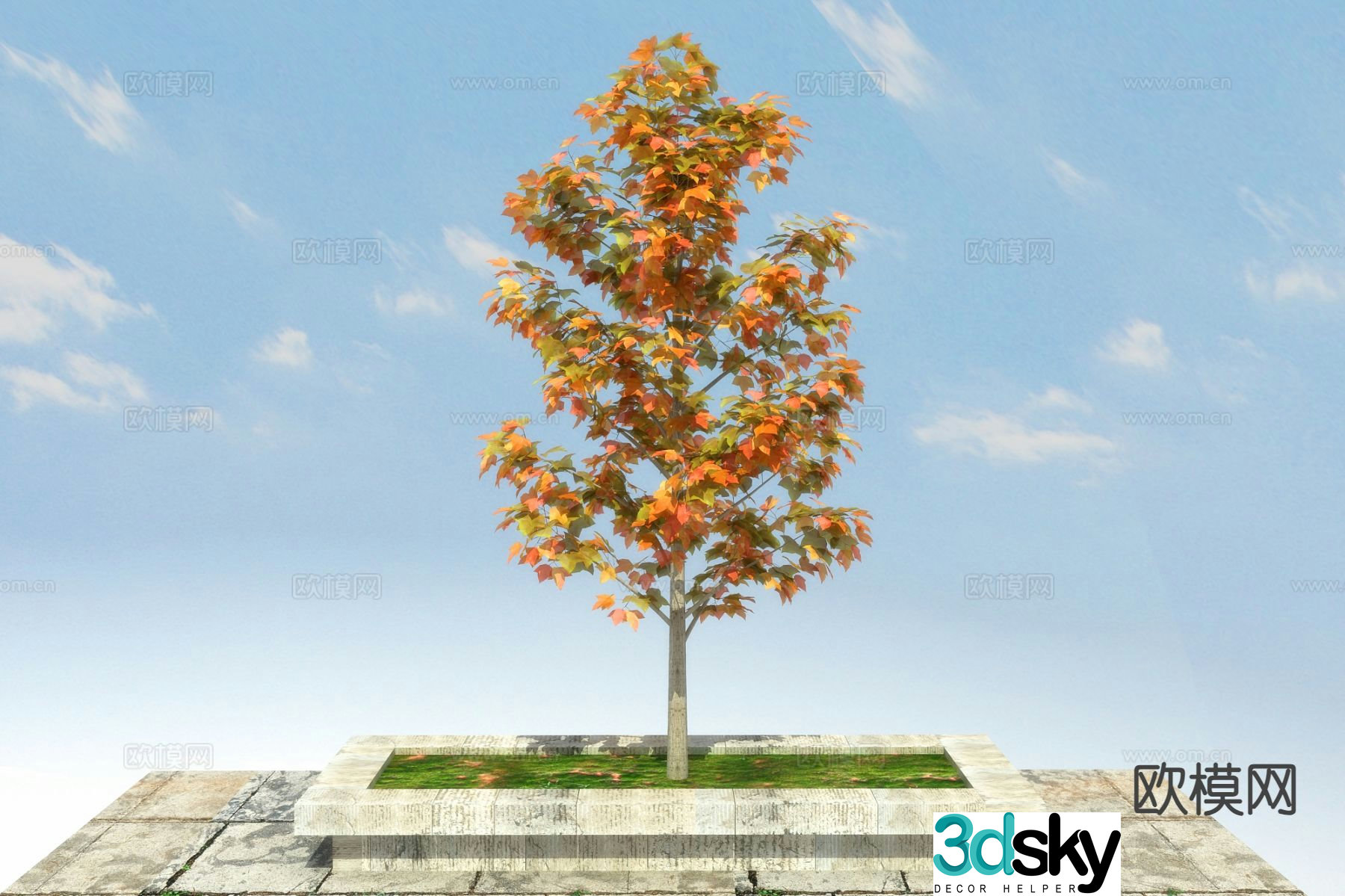Landscape tree tree maple 3d model