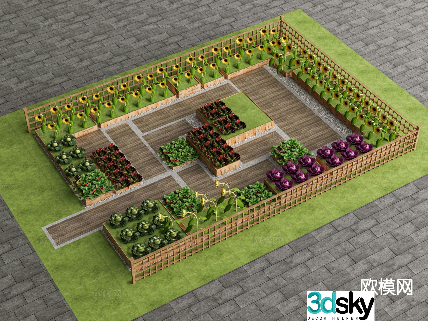 Vegetable field vegetable garden 3d model