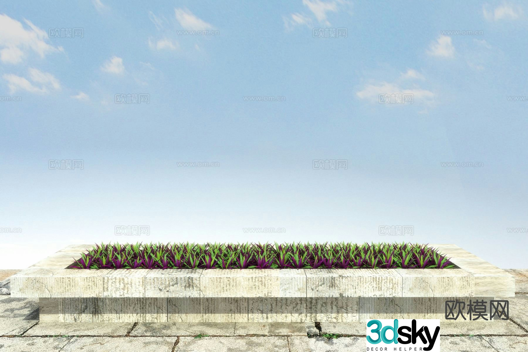 Flowers and plants Small clams orchid 3D model