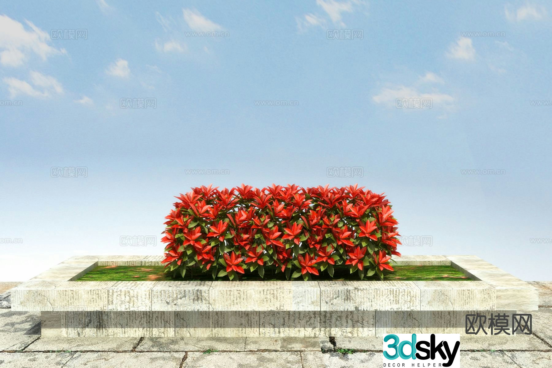 Shrub Red Leaf Hedge 3D Model
