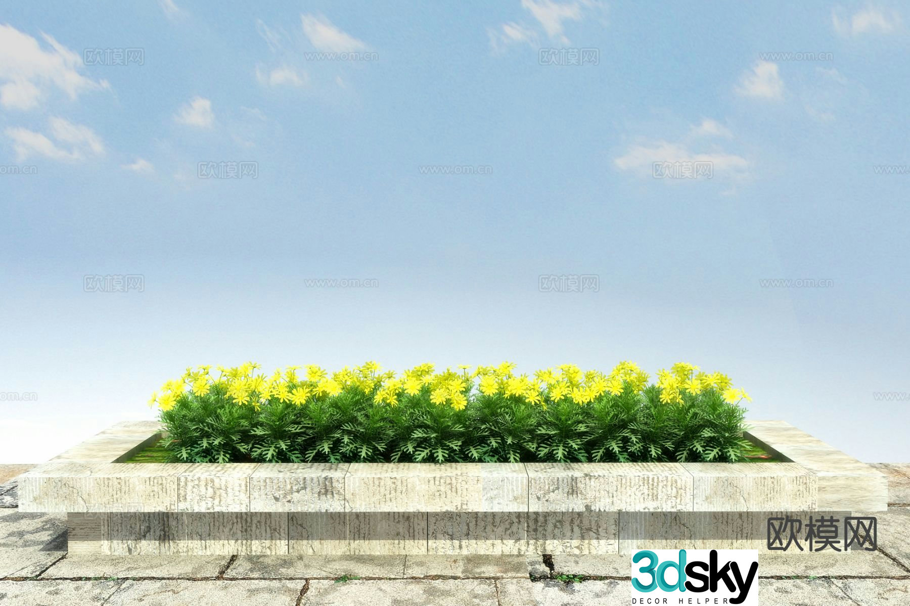 Flowers and plants Yunnan Yarrow 3D model