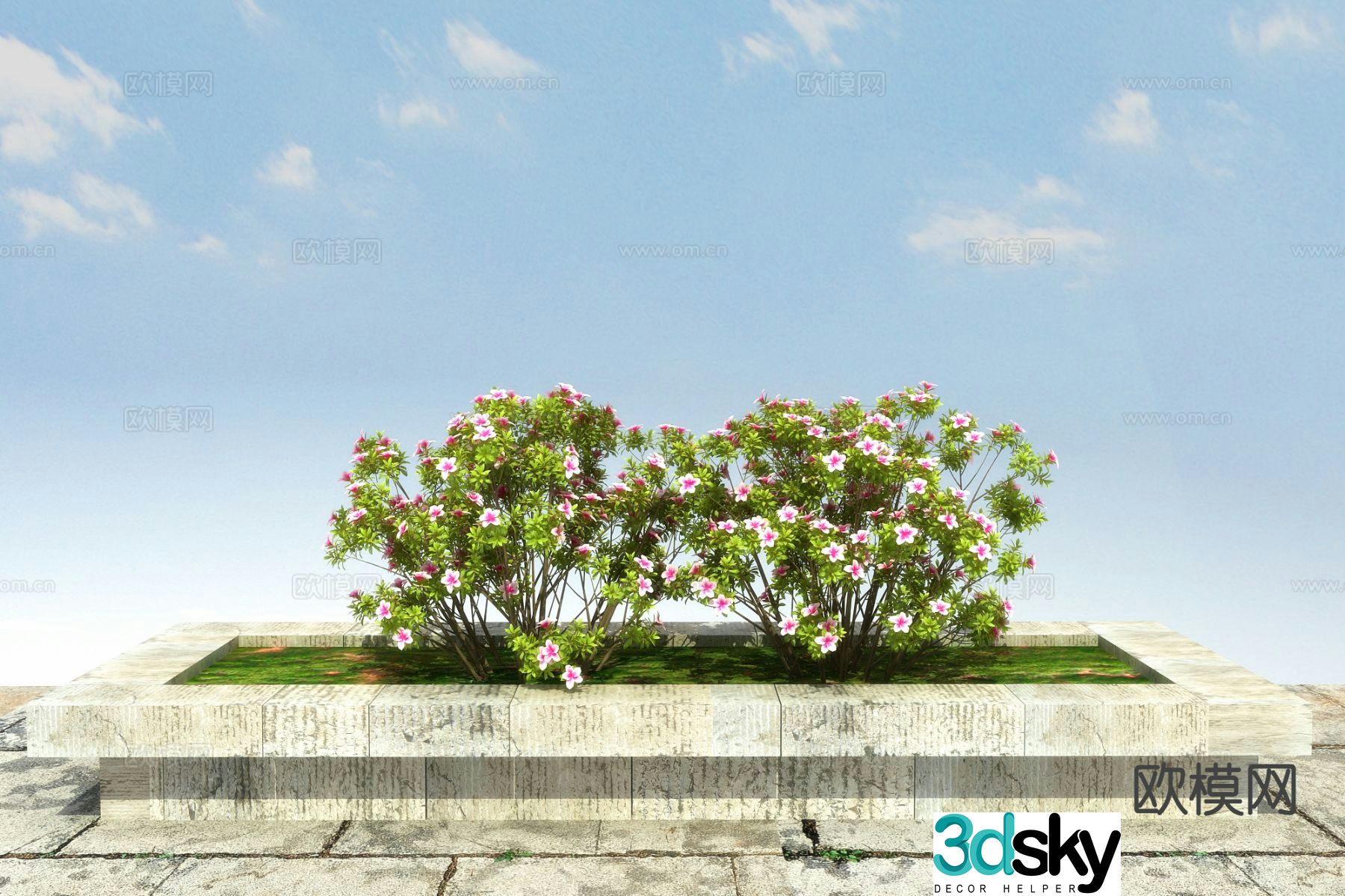 deciduous shrub rhododendron bush 3d model