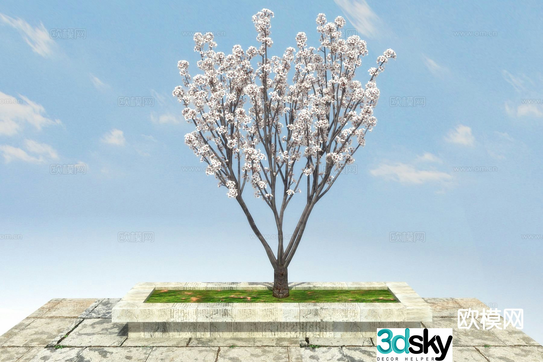 Landscape tree purple leaf plum 3d model