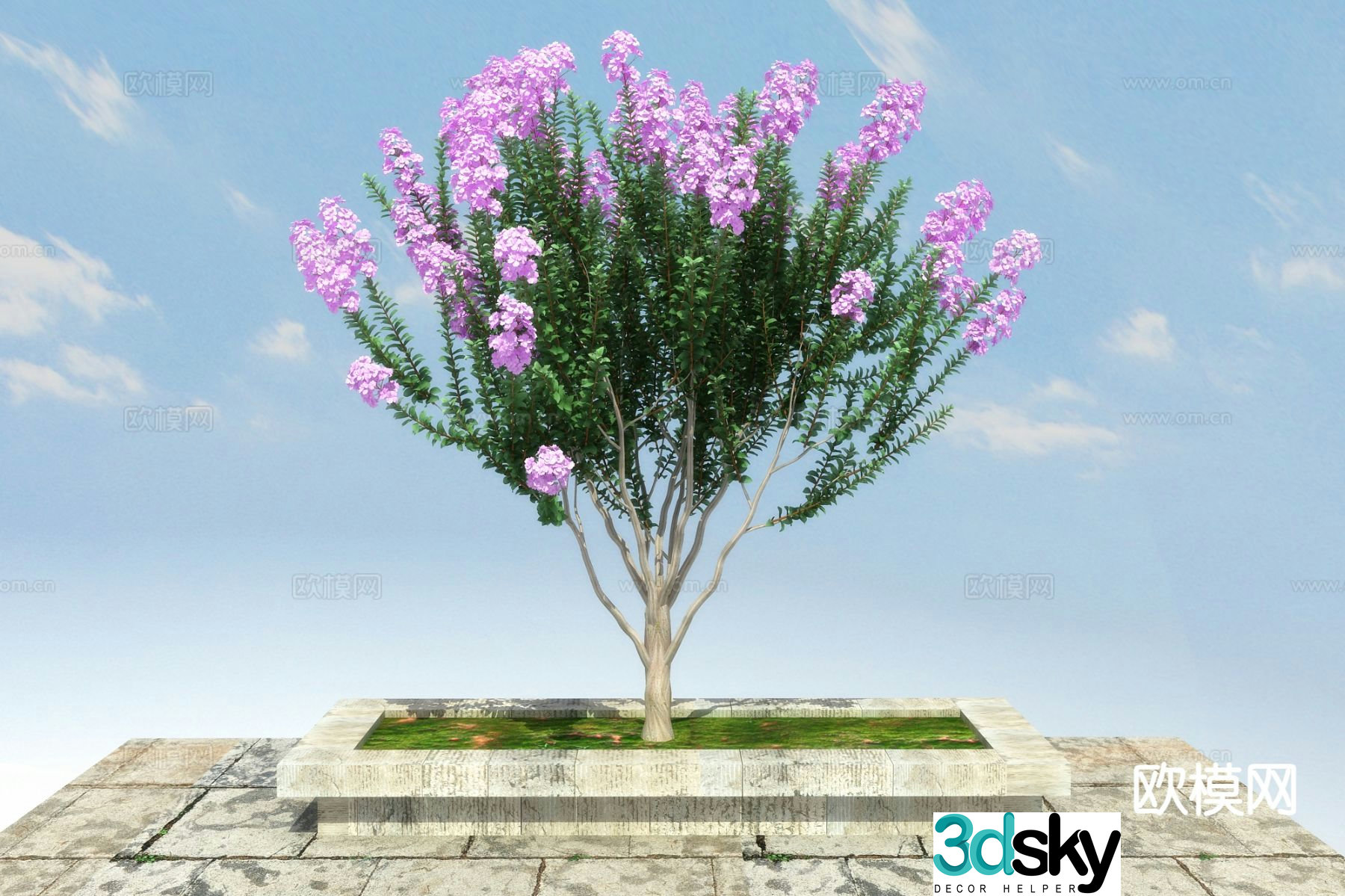 Landscape tree crape myrtle 3d model