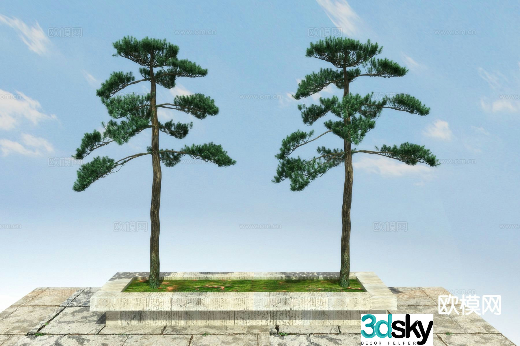 New Chinese style pine tree 3d model