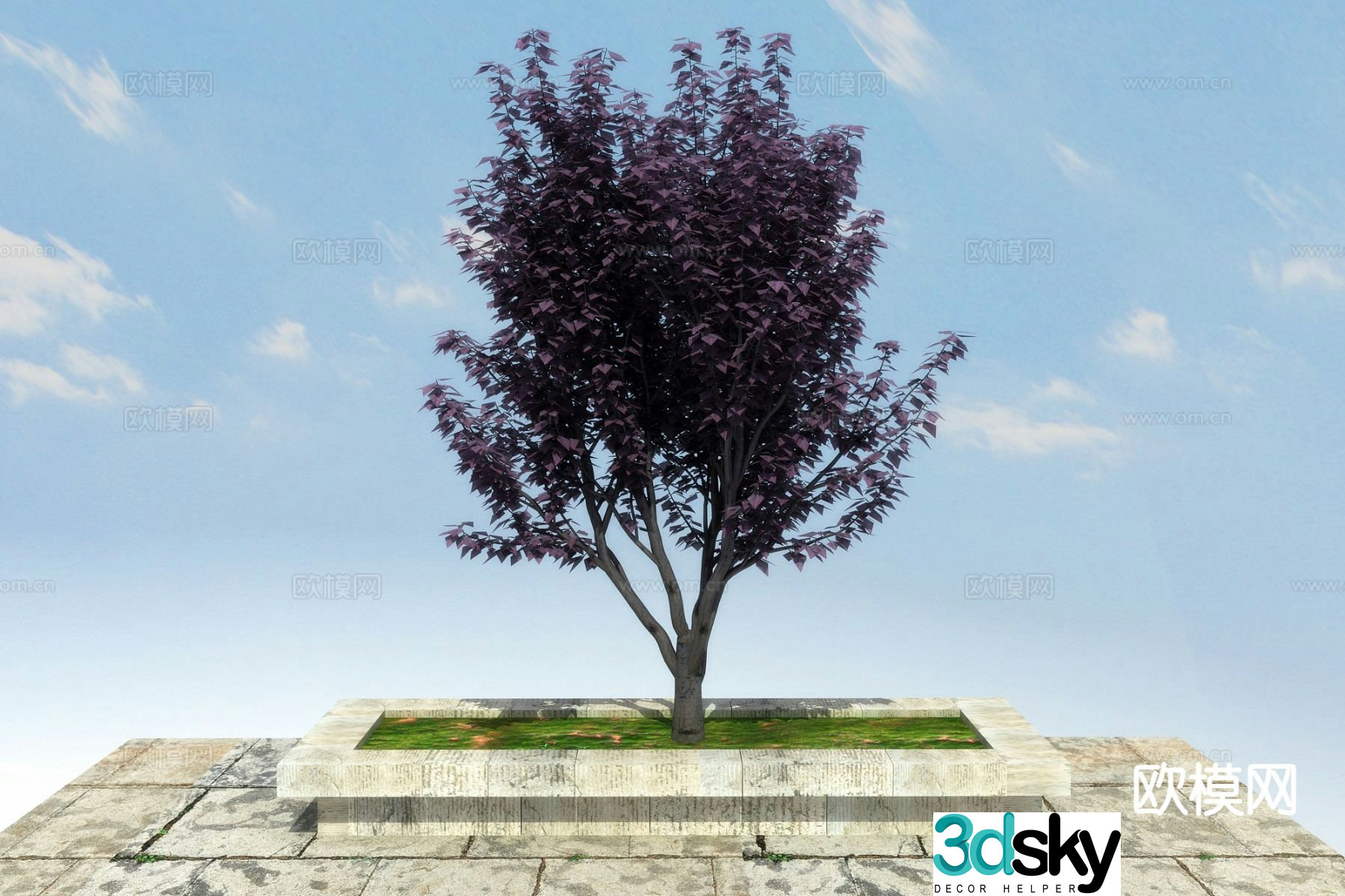 Landscape tree purple leaf plum 3d model