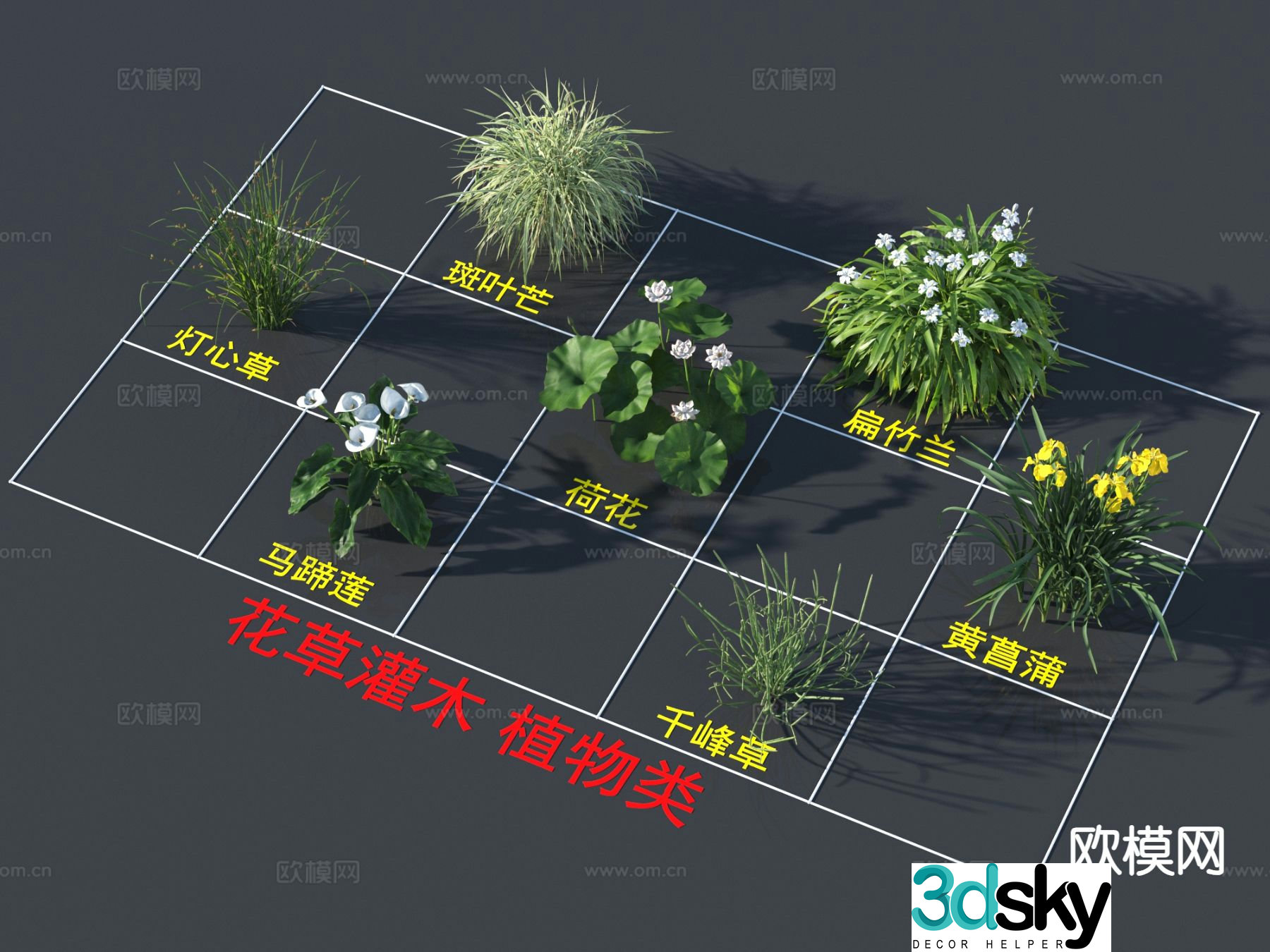Flowers and plants spotted leaves flat bamboo orchids rushes 3D model