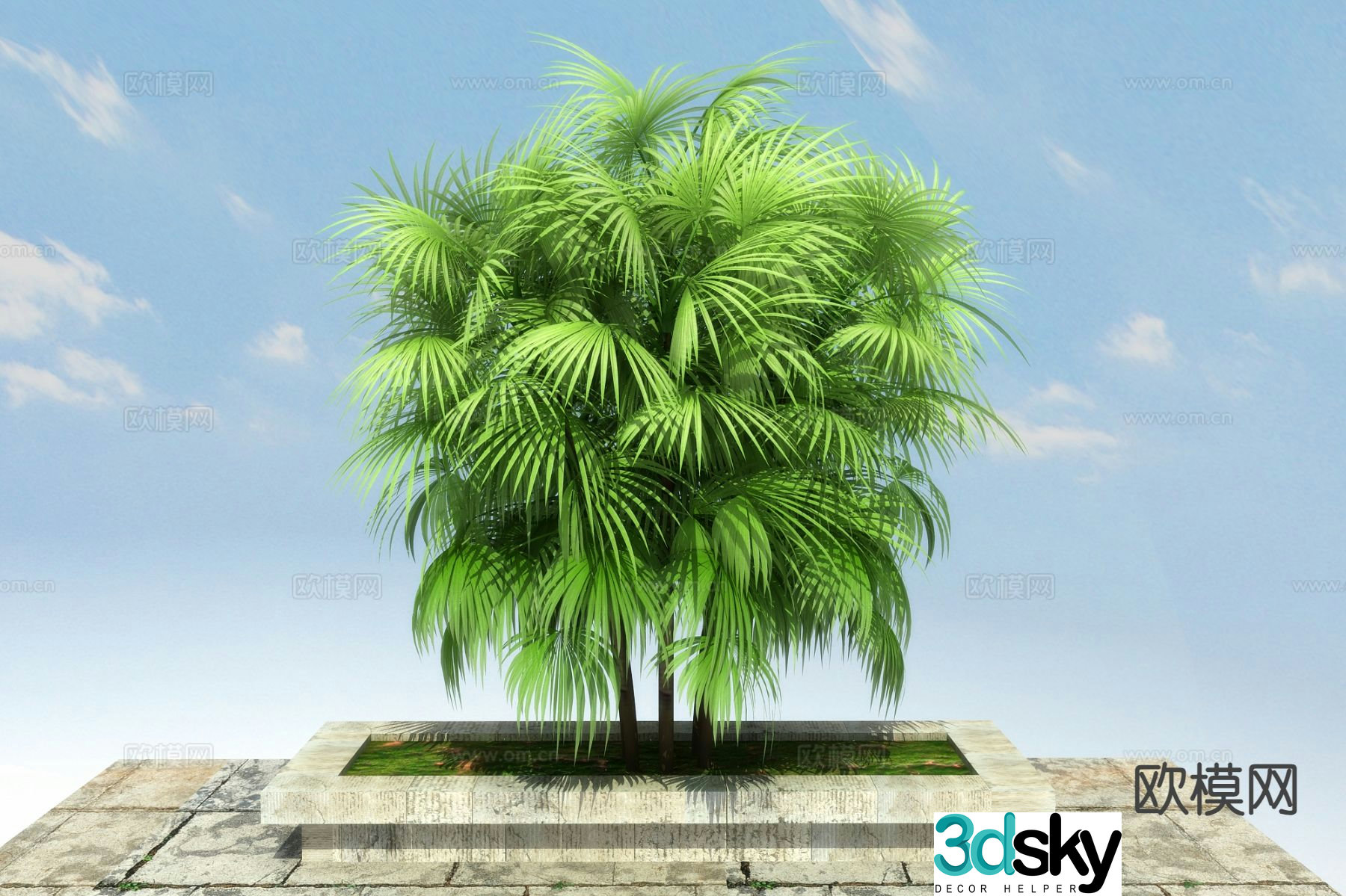 green leaves bamboo 3d model
