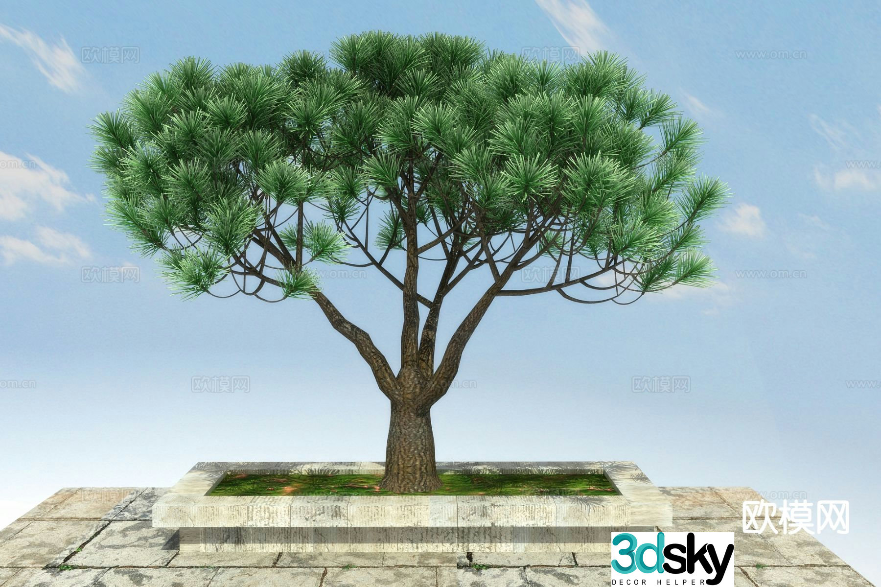 New Chinese style pine tree 3d model