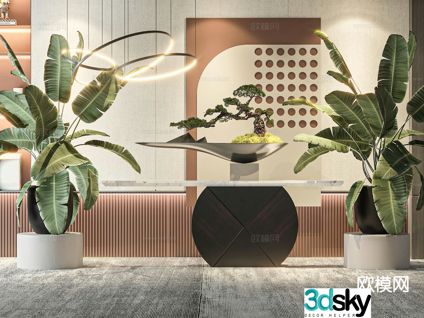 Plant potted 3d model