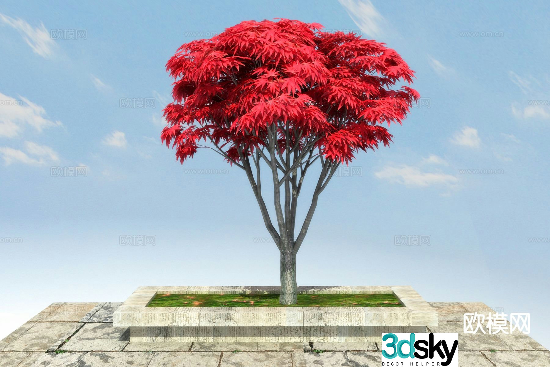 Landscape tree red maple 3d model