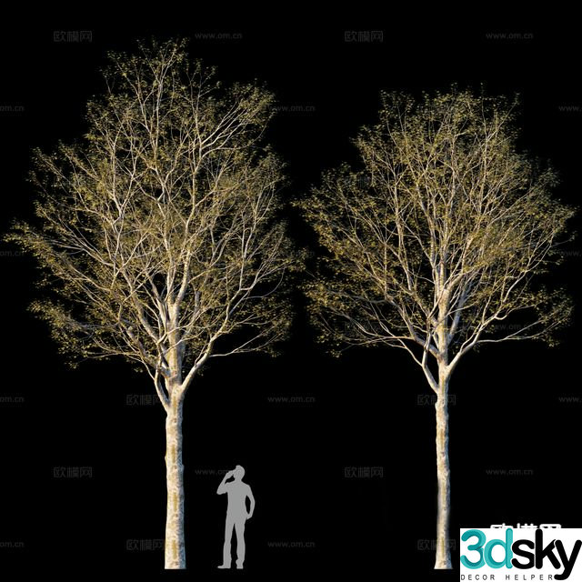 Landscape tree tree 3d model