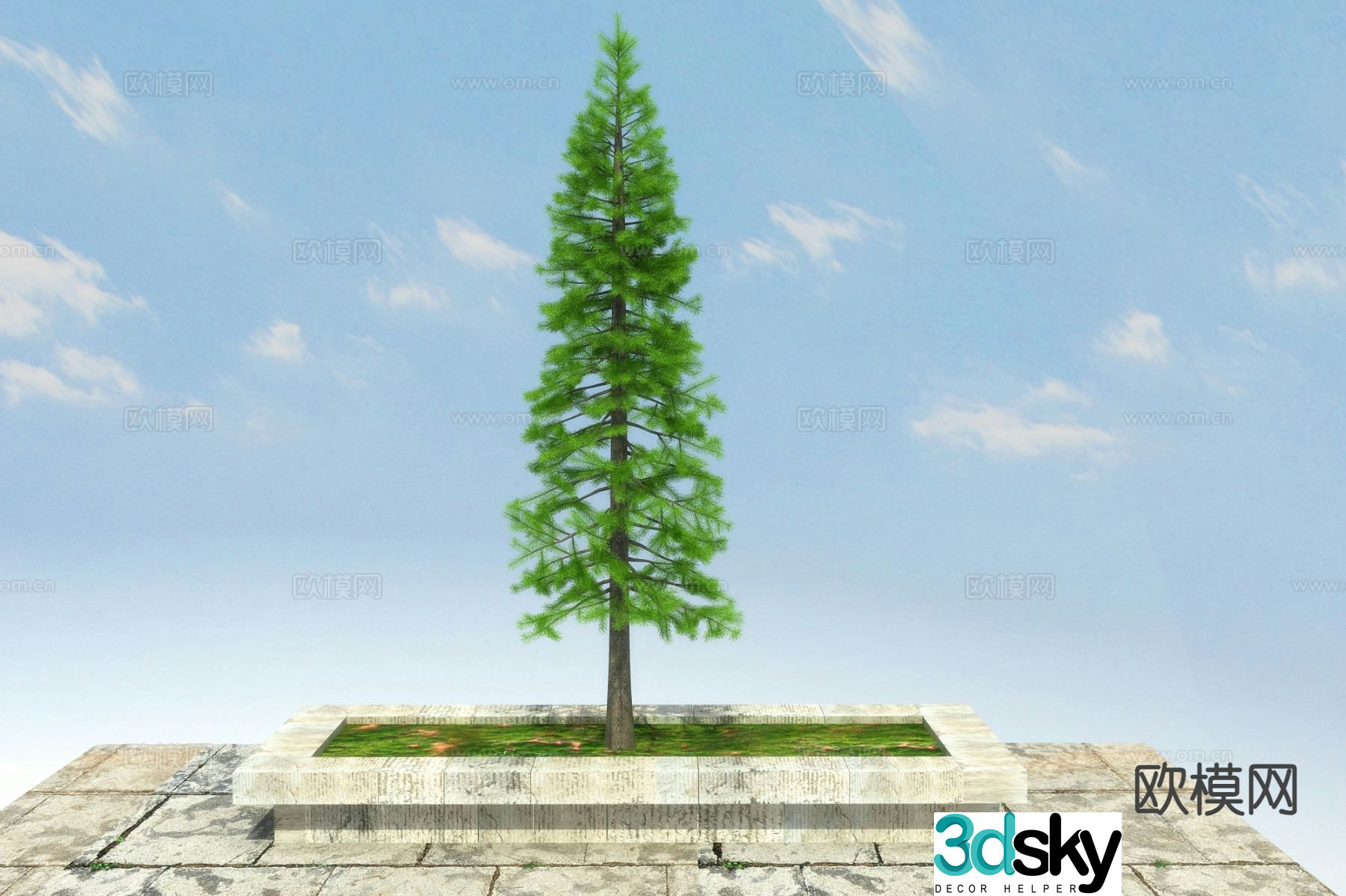 New Chinese style pine tree 3d model