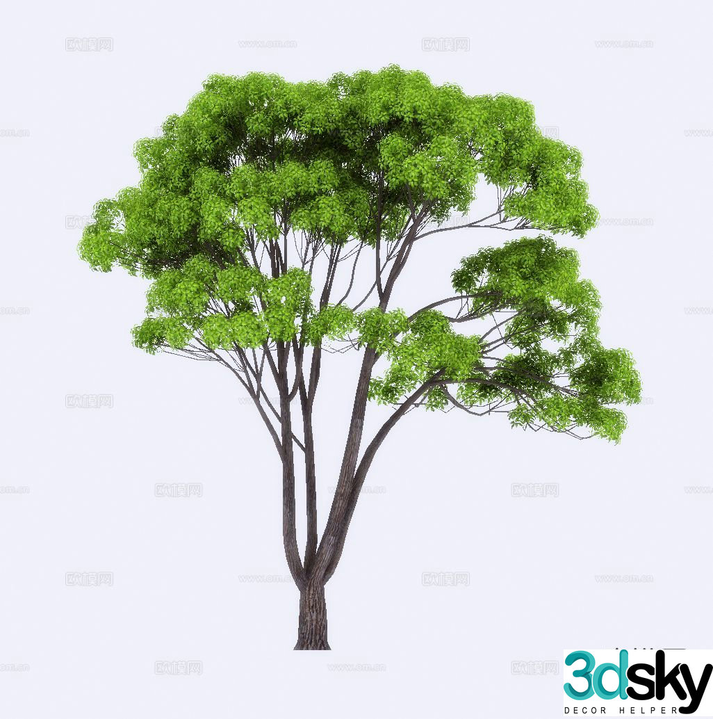 Landscape tree 3d model