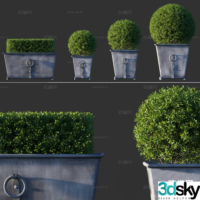 Modern Bonsai Bonsai 3d model