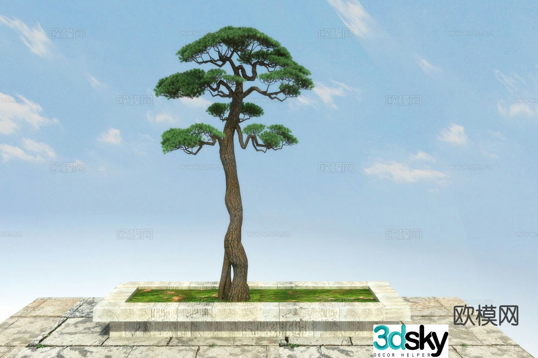 New Chinese style pine tree 3d model