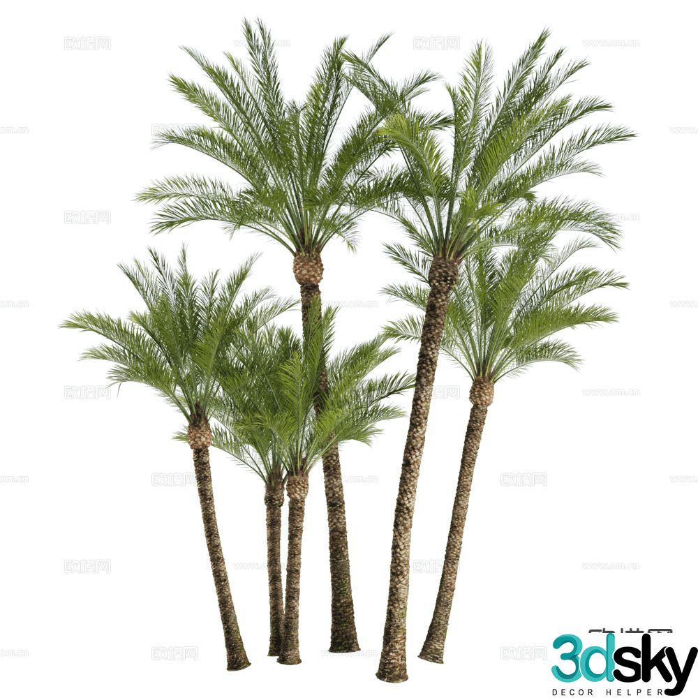 Modern coconut tree 3d model