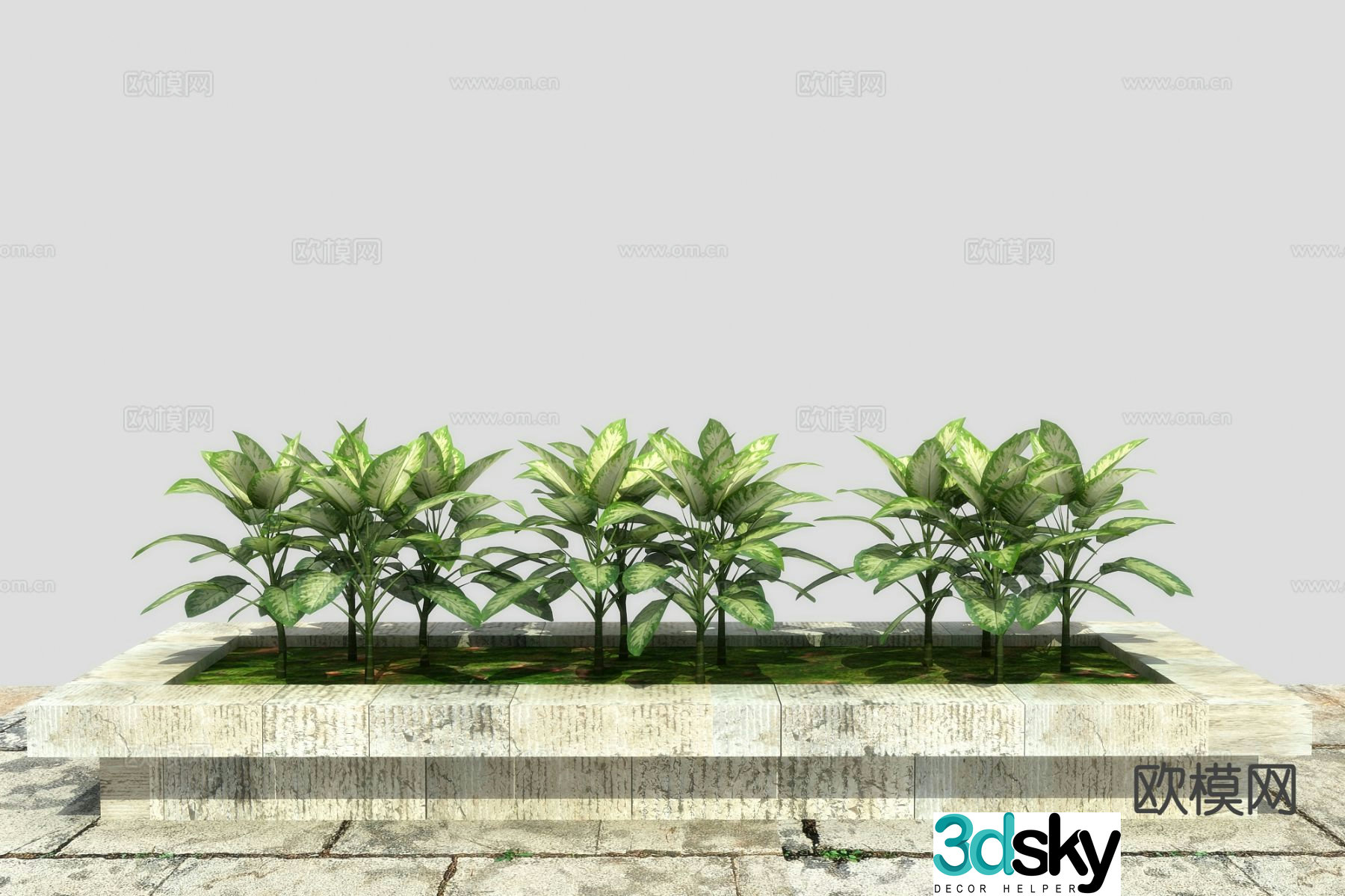 Zebra evergreen flower bed flower groove flower pond 3d model
