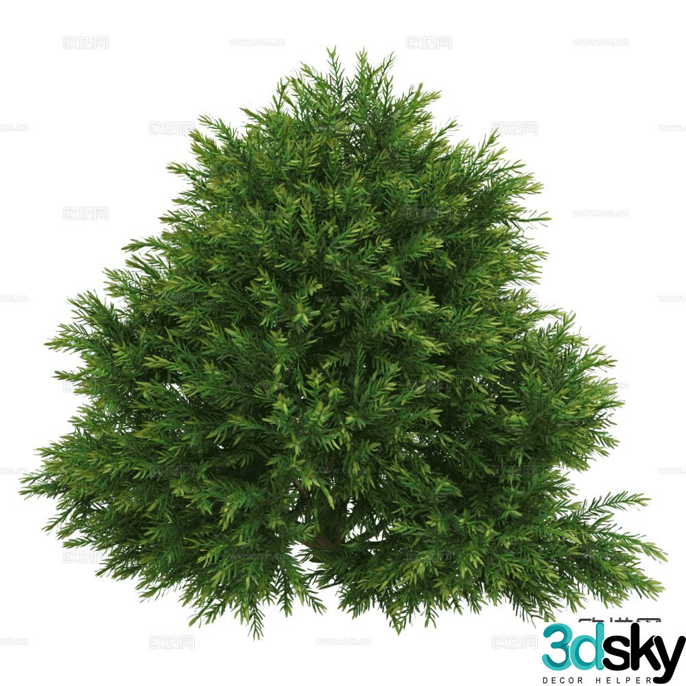 Landscape shrub green plants plant 3d model