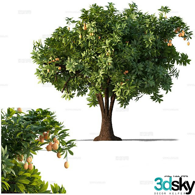 Big tree tree fruit tree 3d model