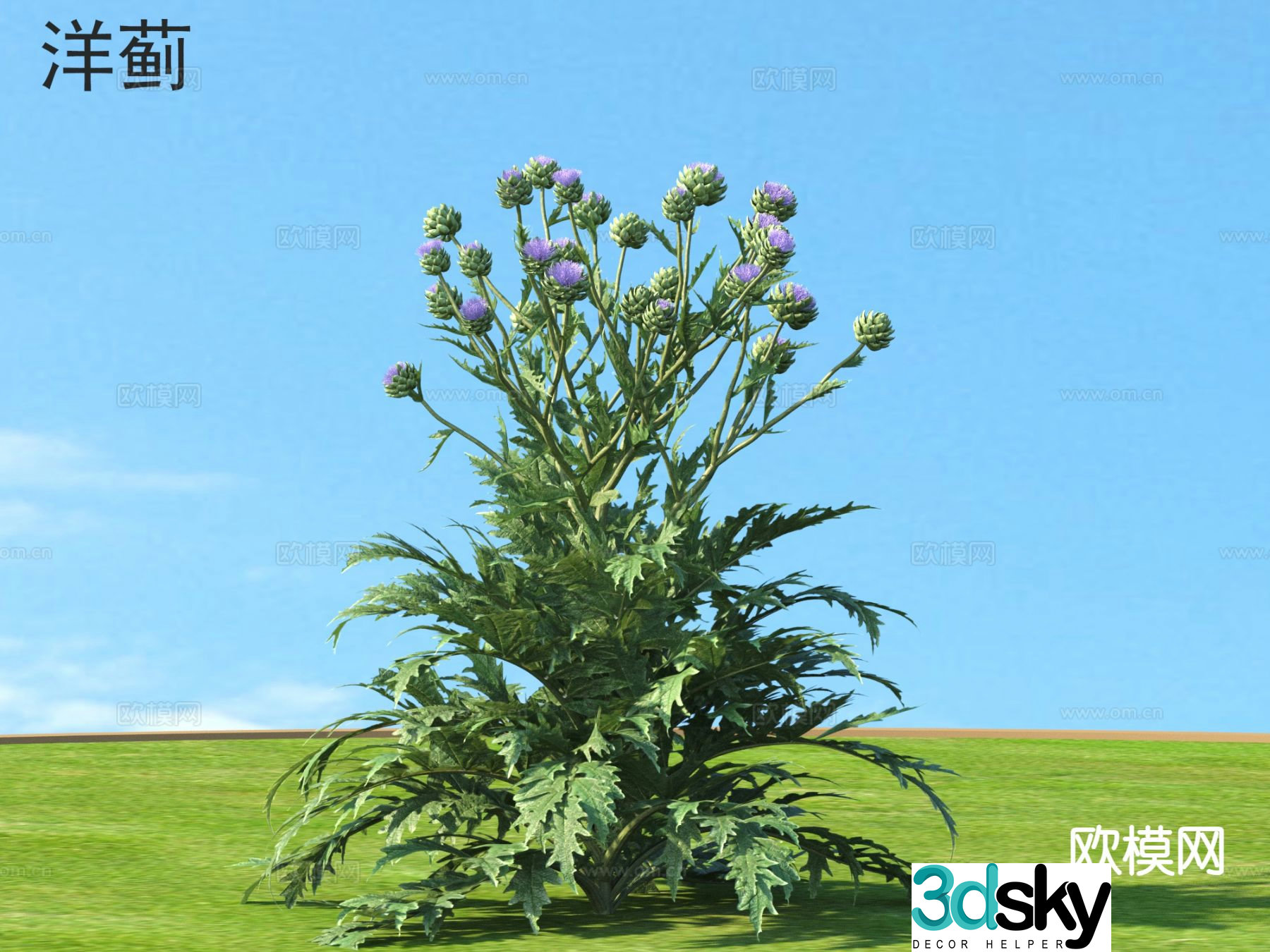 Artichoke Plant 3D Model