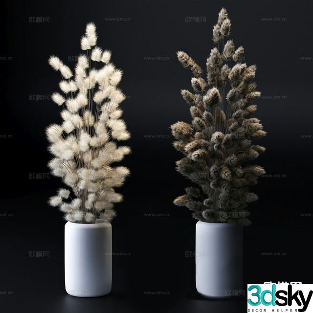 Plant green plants vase 3d model