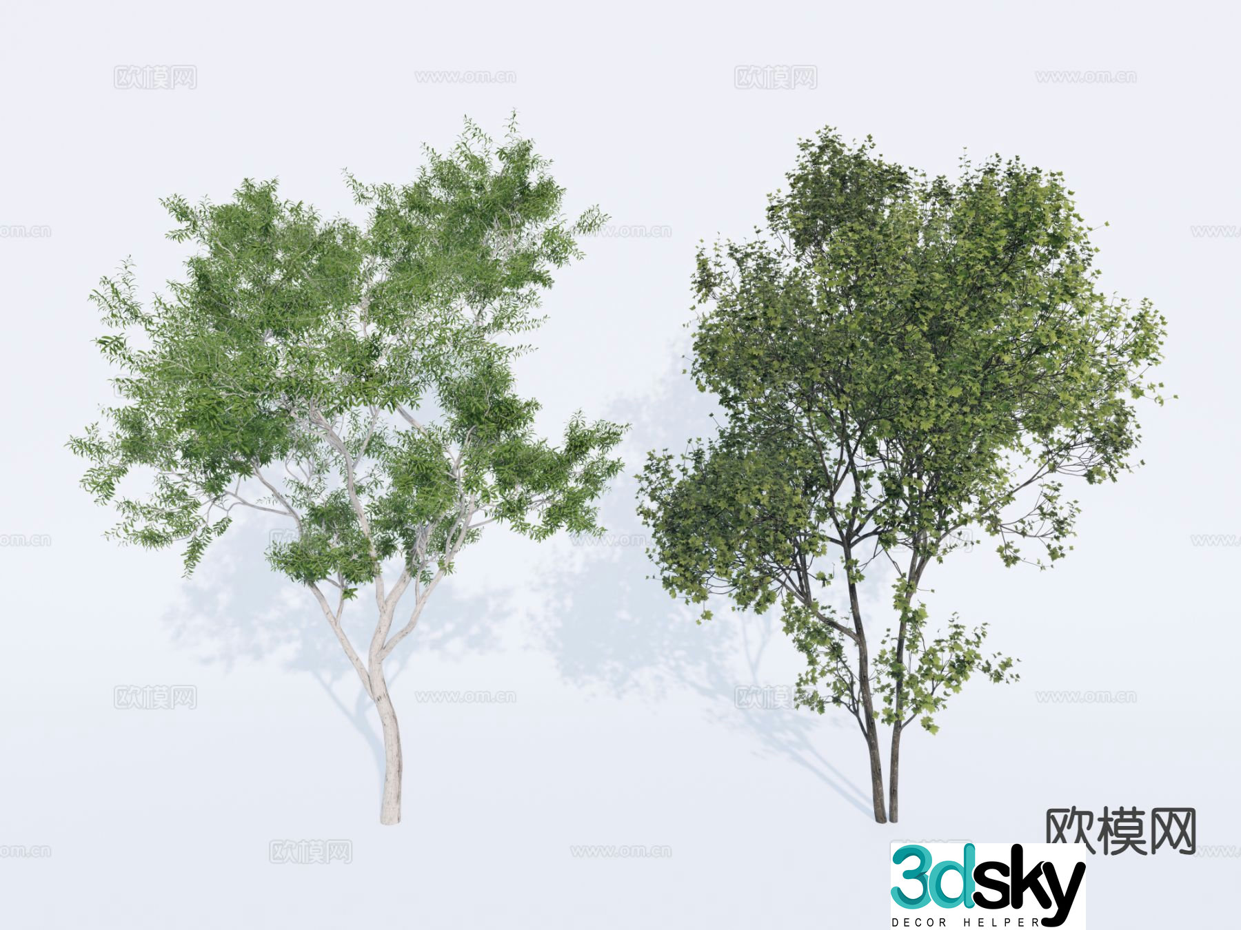 Tree Landscape Tree Street Tree Garden Tree 3D Model