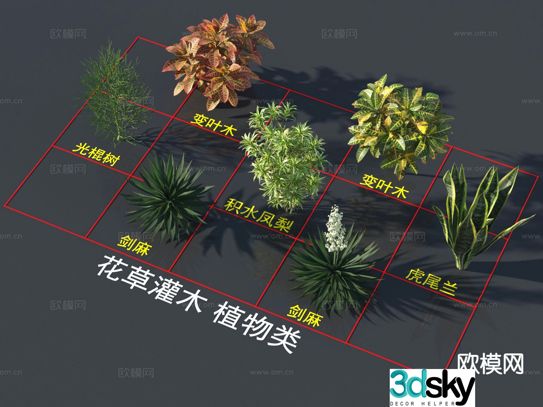 Variable leaf wood lily bamboo bachelor tree 3D model