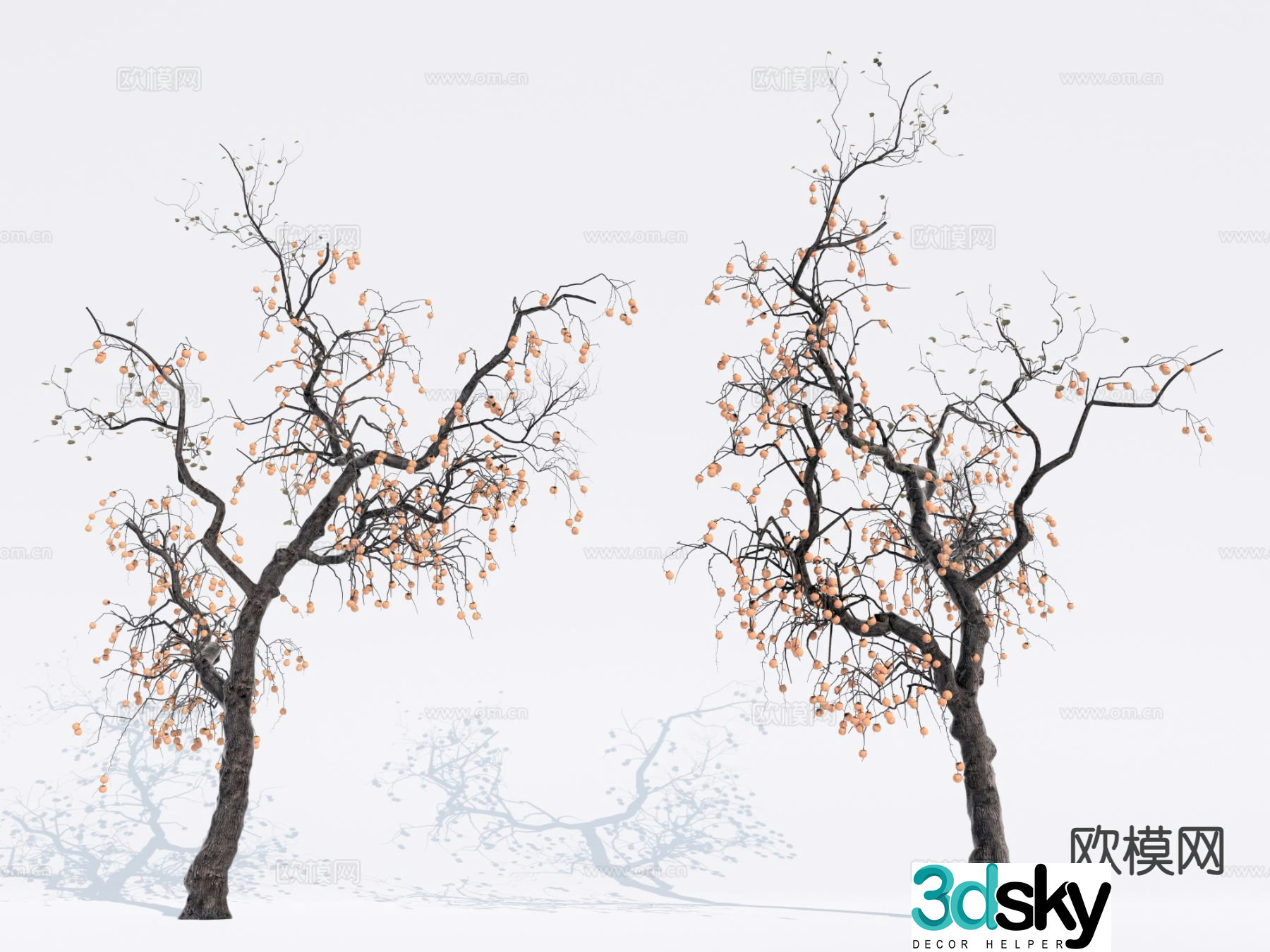 Landscape tree Fruit tree Persimmon tree 3d model