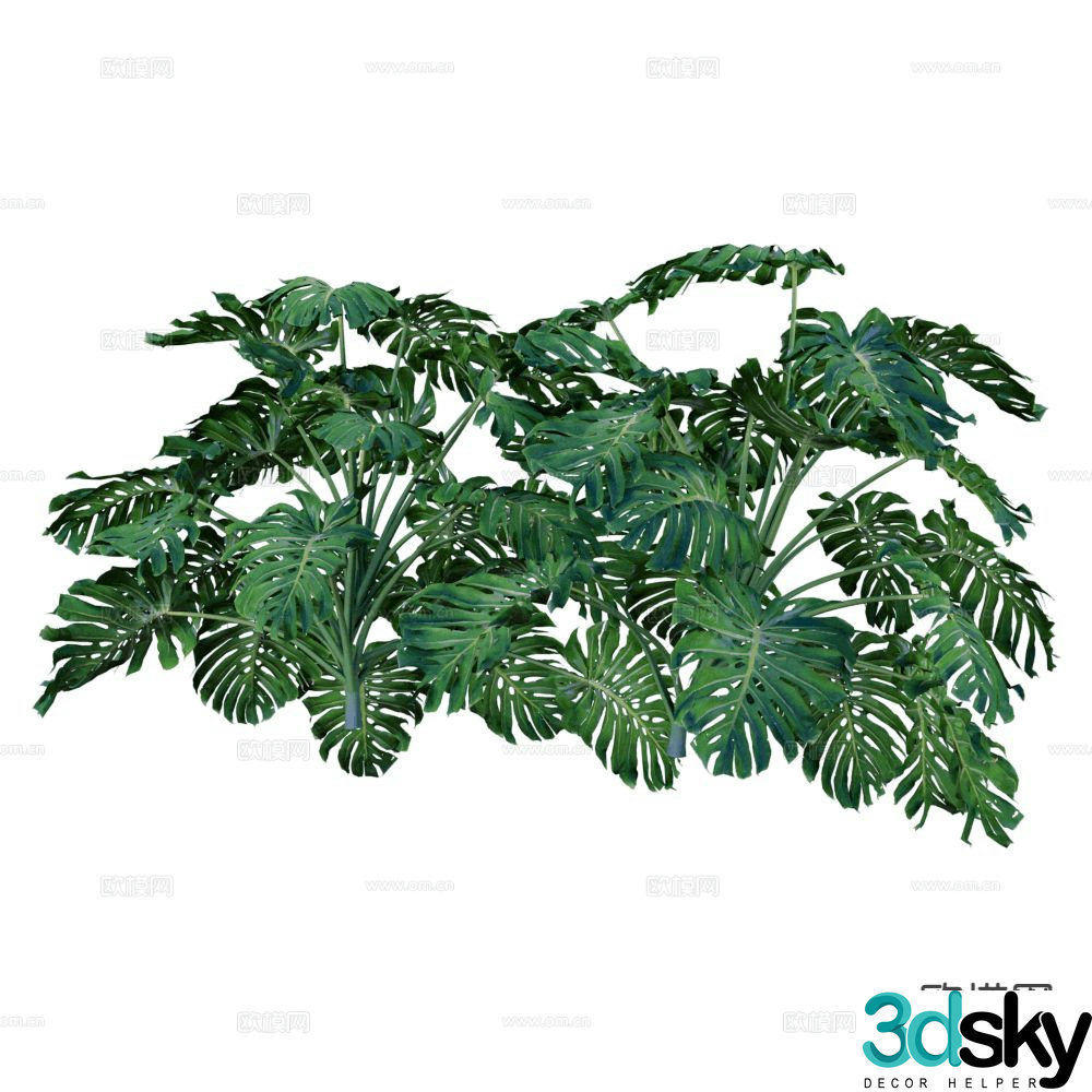 Landscape shrubs shrub plants hedge 3d model