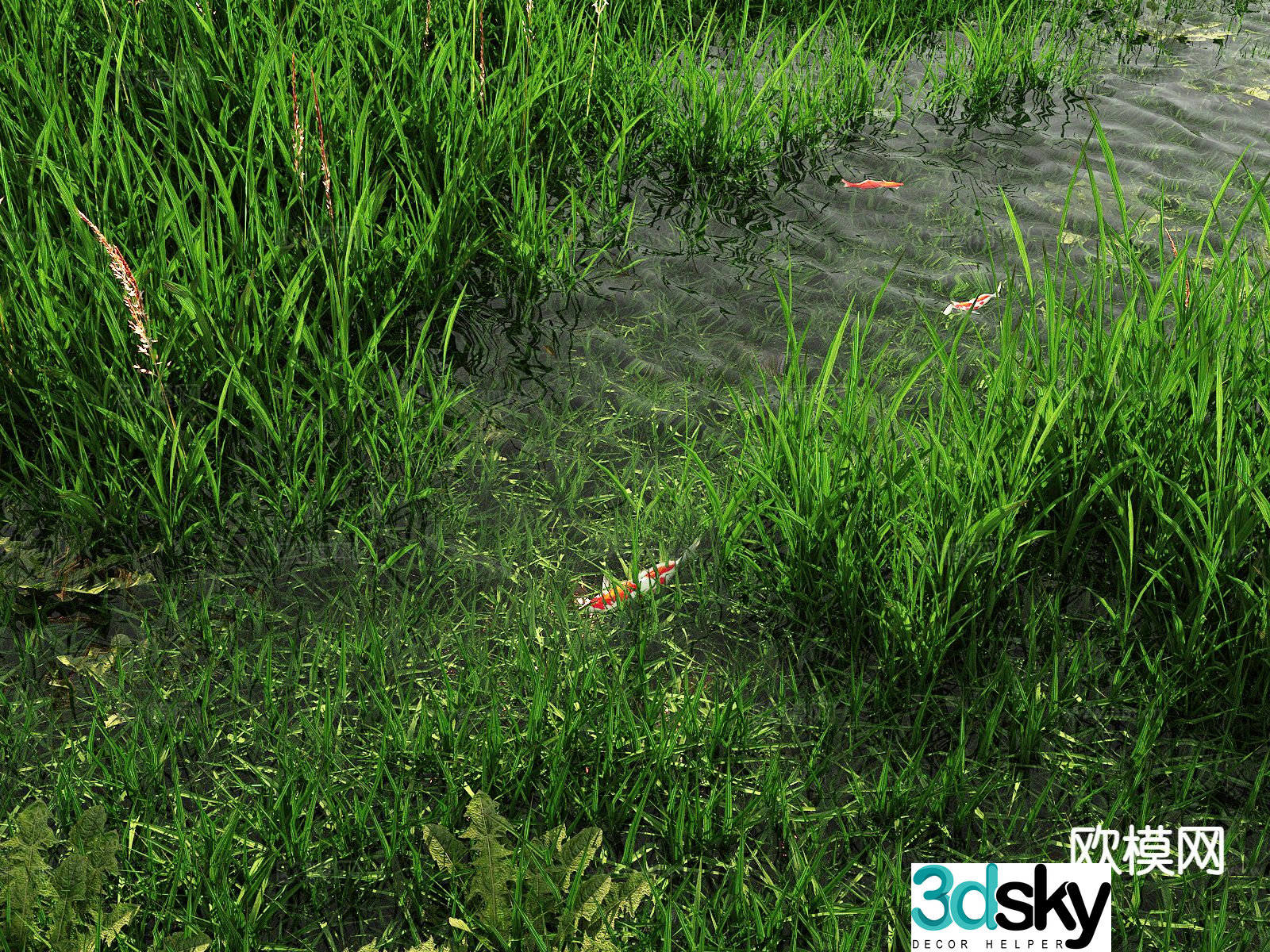 Flowers and plants Wetlands Meadows Wild Weeds 3D Model